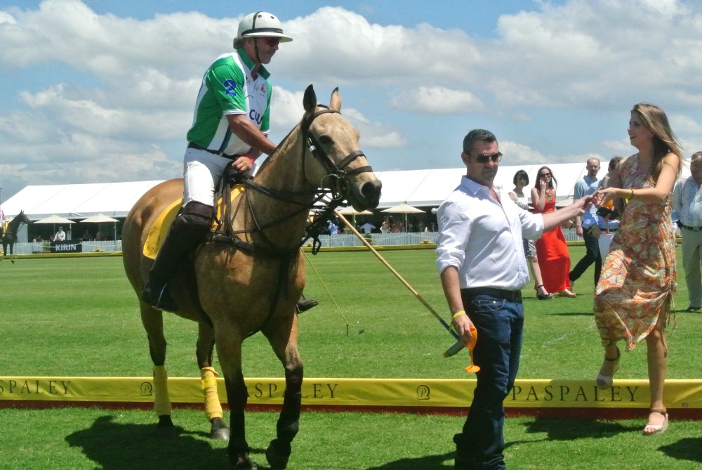 DSC 7816