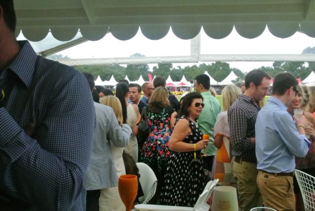DSC 6559