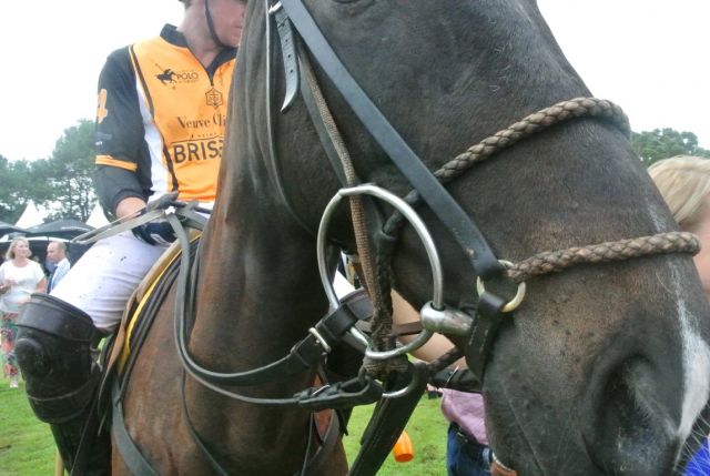 DSC 6814