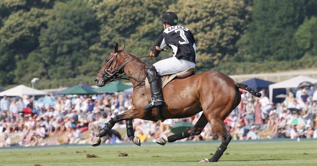 british polo open championships polo tournament polo photography celine genonceau polo magazine 29